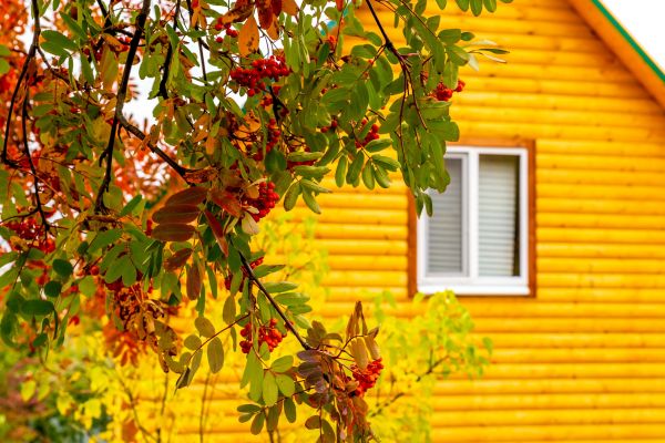 Garden Window Replacement in Dripping Springs